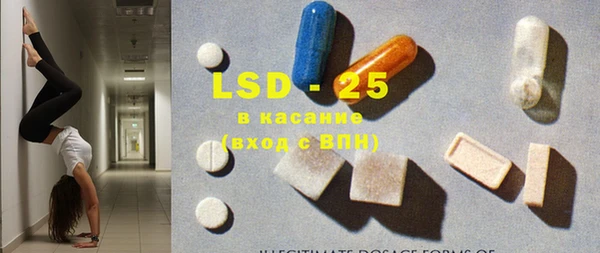 индика Бородино