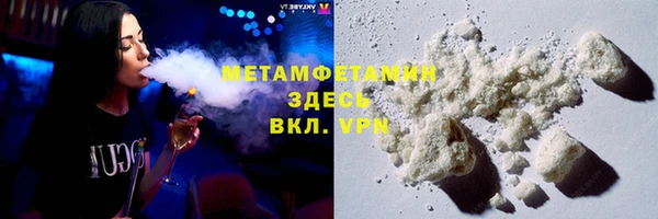 индика Бородино
