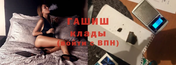 индика Бородино