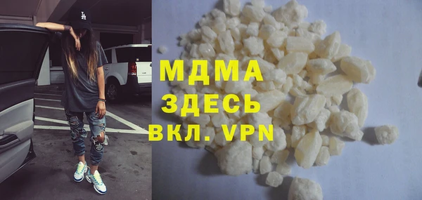 индика Бородино