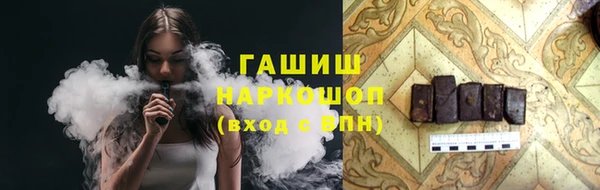 индика Бородино
