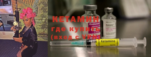 индика Бородино