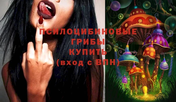 индика Бородино