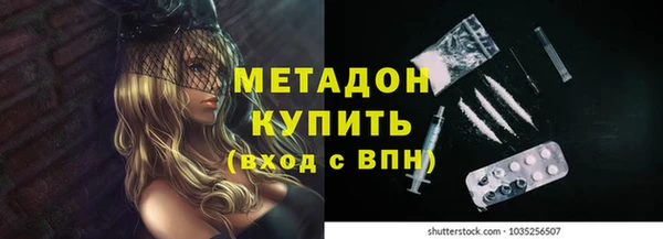 индика Бородино