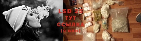 индика Бородино