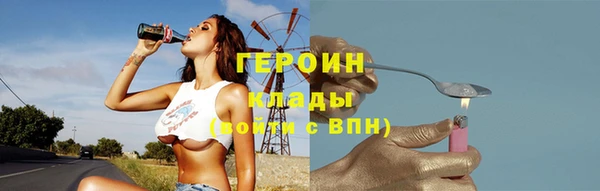 индика Бородино