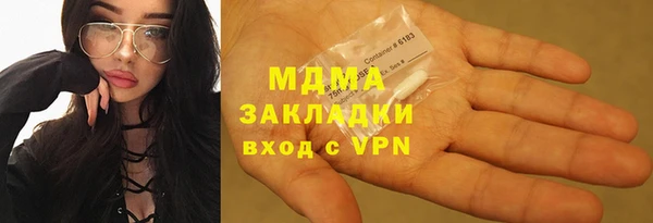 индика Бородино