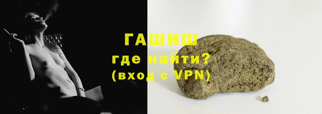 индика Бородино