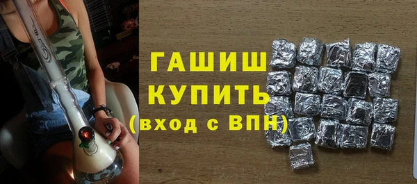 индика Бородино