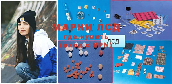 индика Бородино