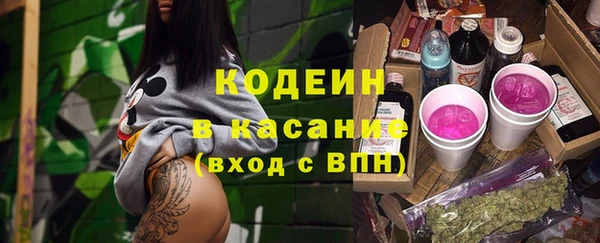 индика Бородино