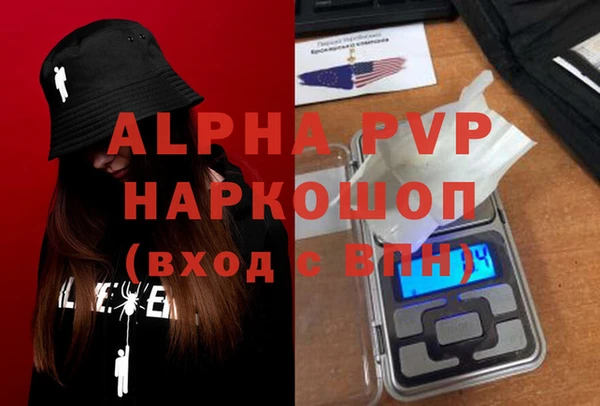 индика Бородино