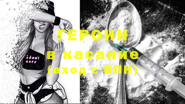 индика Бородино