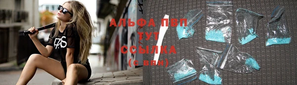 СК Бронницы