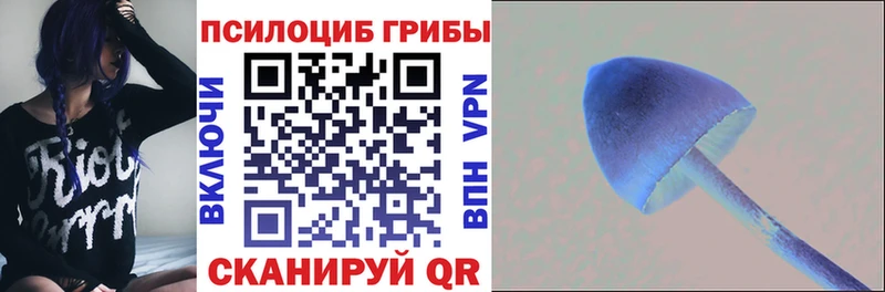 Галлюциногенные грибы Psilocybe  Харабали 
