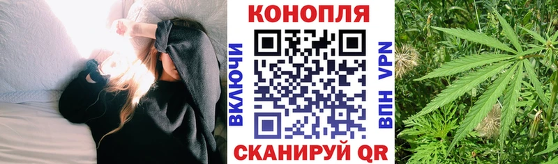 Конопля OG Kush  купить   Харабали 